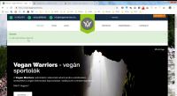 vw-blog-9